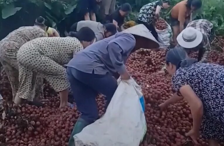 Vụ ô tô chở 4 tấn vải bị lật: Người dân chuyển 40 triệu đồng cho chủ xe